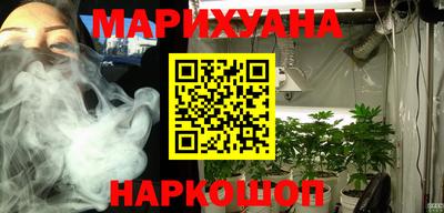 сатива Аргун