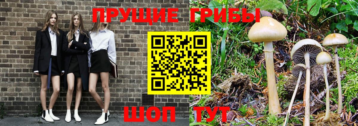 Галлюциногенные грибы Psilocybe  Галлюциногенные грибы MAGIC MUSHROOMS  Вход с VPN  Борисоглебск 